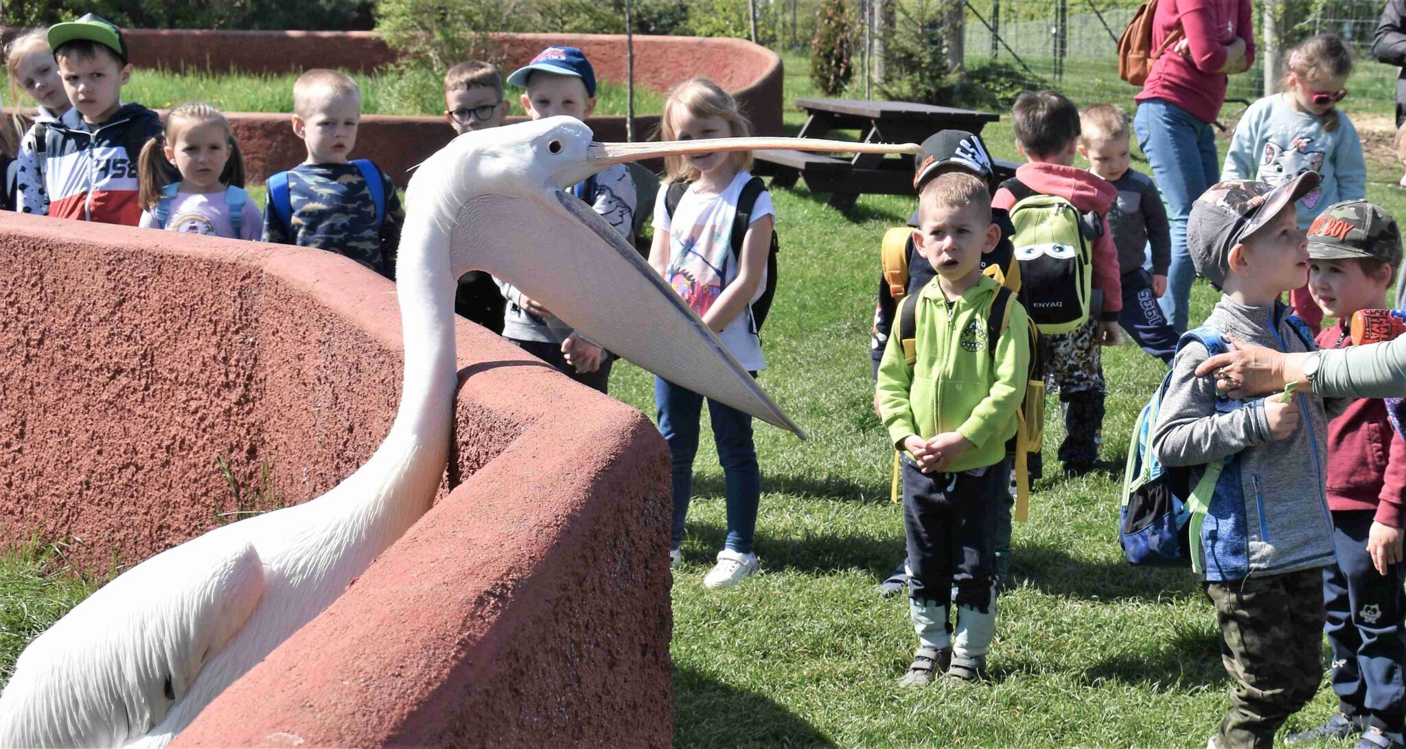 MŠ Sedlice ZŠ Praskačka