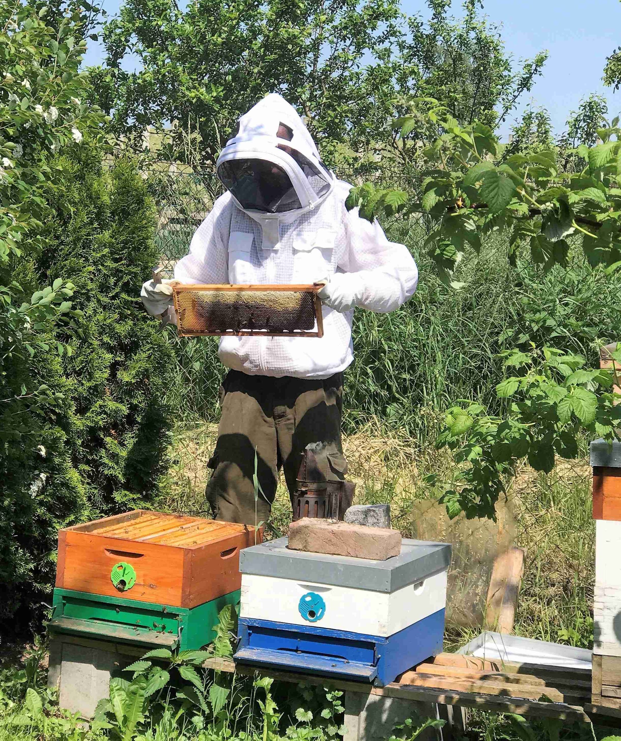 Přečtete si více ze článku 2023 SLUNÍČKO Za včelami u Němcových.