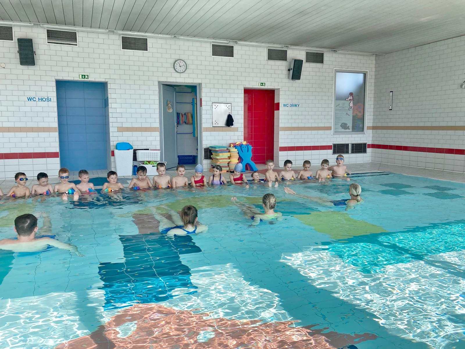 Přečtete si více ze článku 2025 Plavecký kurz