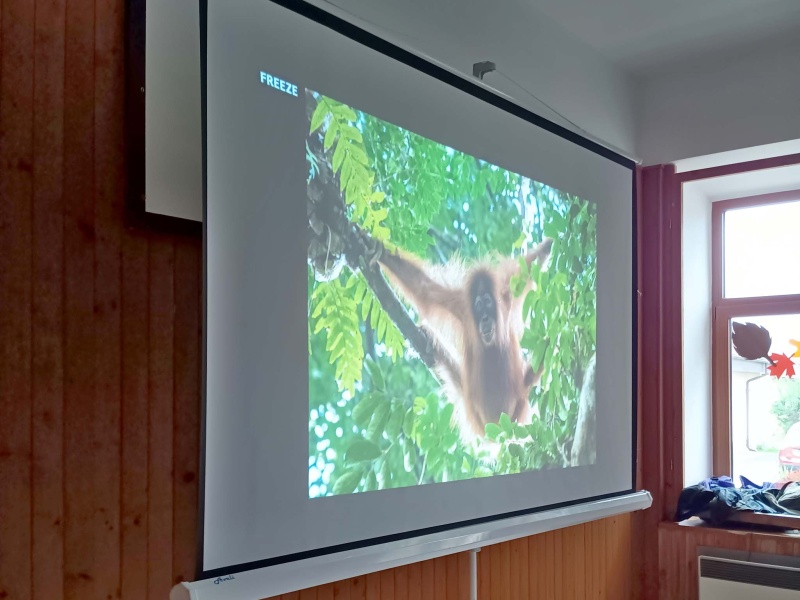 Přečtete si více ze článku 6.10.2025 Přednáška NEPZ: Orangutánek Zrzek a děsivý prales