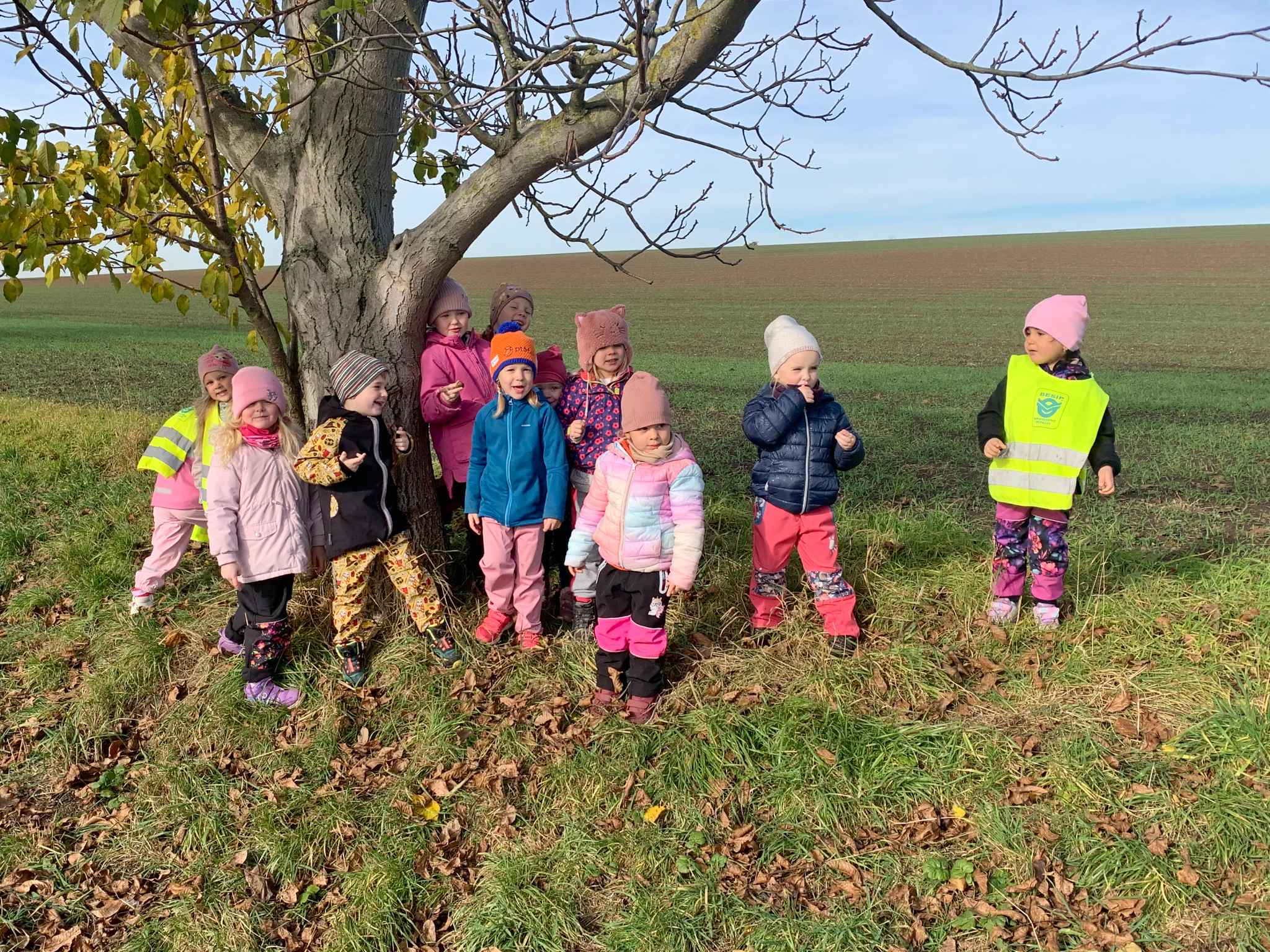 Přečtete si více ze článku Říjen ve třídě Hvězdiček 2025