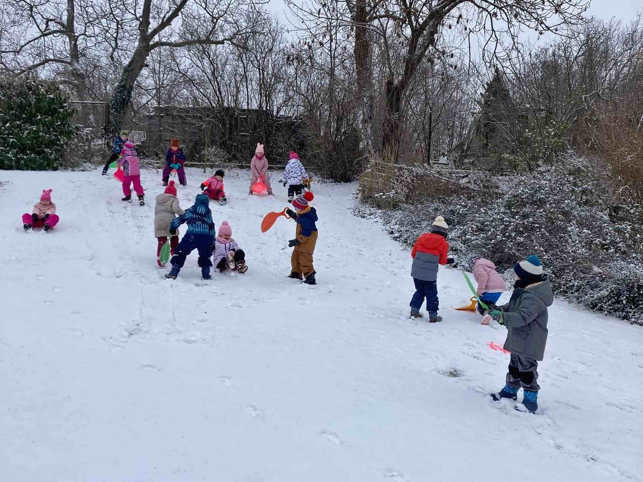 Přečtete si více ze článku První sníh 2025